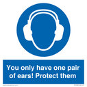 mandatory-you-only-have-one-pair-of-ears-protect-them~